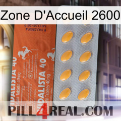 Home Zone 2600 43